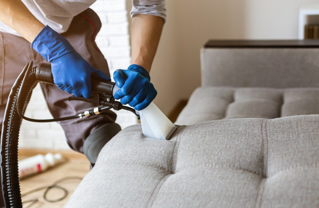Professional Upholstery Cleaning Services