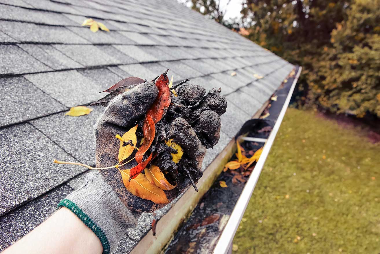 Professional Gutter Cleaning