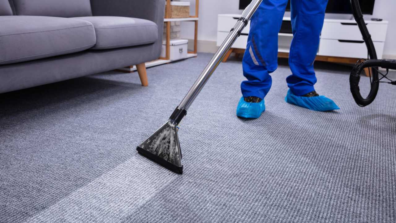 7 Benefits of Professional Carpet Cleaning in Victoria