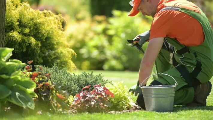 Professional Gardening Services